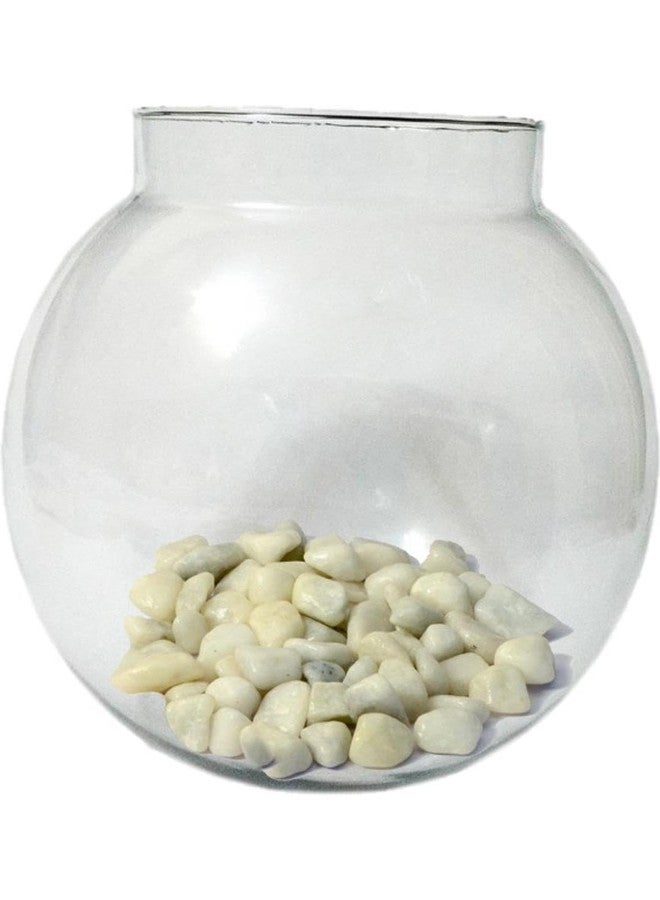 Somil Clear & Transparent Round Decorative Glass Fish Pot for Zoom View with White Stones, Indoor Home, Room Table Top, Dia -8 Inch, 18 X 18 X 18 Cm - Image 1